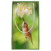 Rufous Hummingbird Sips Blueberry Flower Nectar Klein Cadeauzakje (Voorkant)