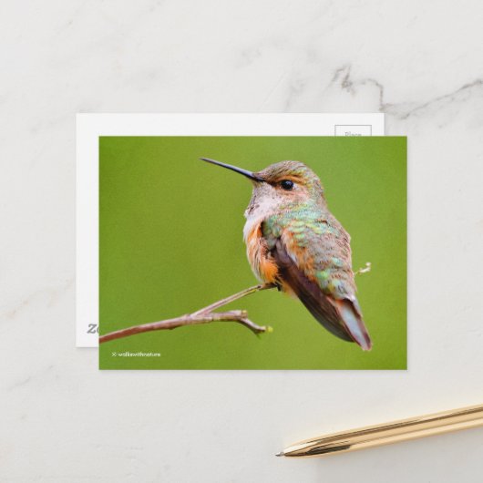 Rufous Hummingbird Sitting in California Lila Briefkaart (Voorkant / Achterkant in situ)