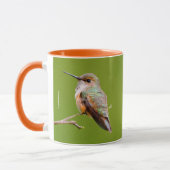 Rufous Hummingbird Sitting in California Lila Mok (Links)