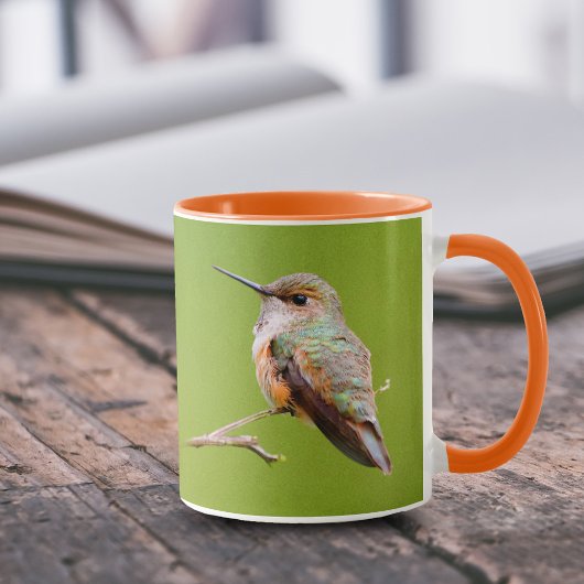 Rufous Hummingbird Sitting in California Lila Mok