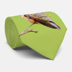 Rufous Hummingbird Sitting in California Lila Stropdas