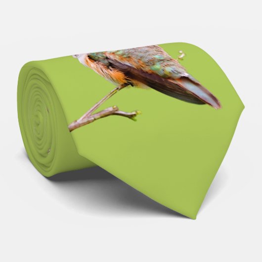 Rufous Hummingbird Sitting in California Lila Stropdas (Opgerold)