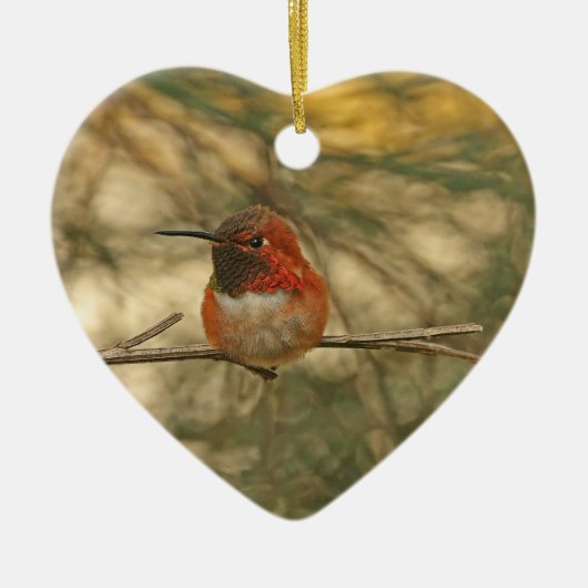 Rufous Hummingbird Sitting Keramisch Ornament (Voorkant)
