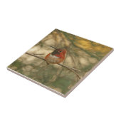 Rufous Hummingbird Sitting Tegeltje (Zijkant)
