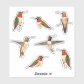 Rufous Hummingbird Sticker (Vel)