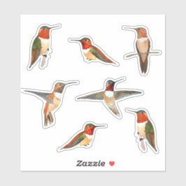 Rufous Hummingbird Sticker