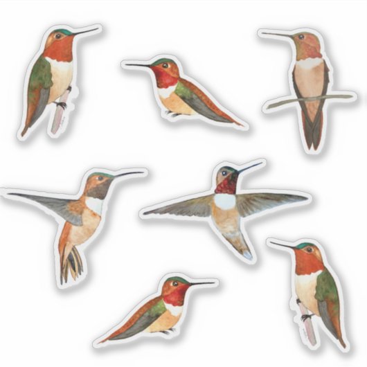Rufous Hummingbird Sticker (Voorkant)