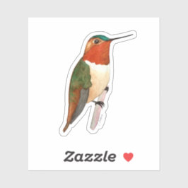 Rufous Hummingbird Sticker