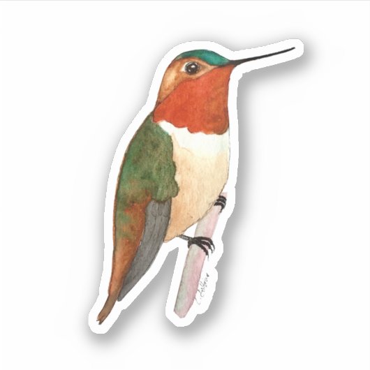 Rufous Hummingbird Sticker (Voorkant)