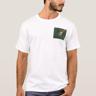 Rufous Hummingbird T-shirt