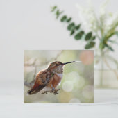Rufous Hummingbird Tounge Briefkaart (Staand voorkant)