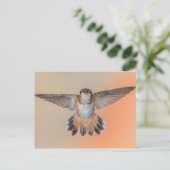 Rufous Hummingbird Wide Open Briefkaart (Staand voorkant)