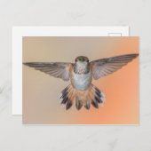 Rufous Hummingbird Wide Open Briefkaart (Voorkant / Achterkant)
