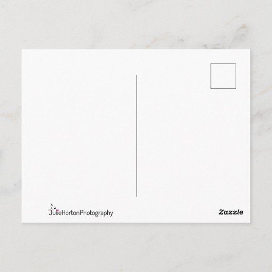 Rufous Hummingbird Wide Open Briefkaart (Achterkant)