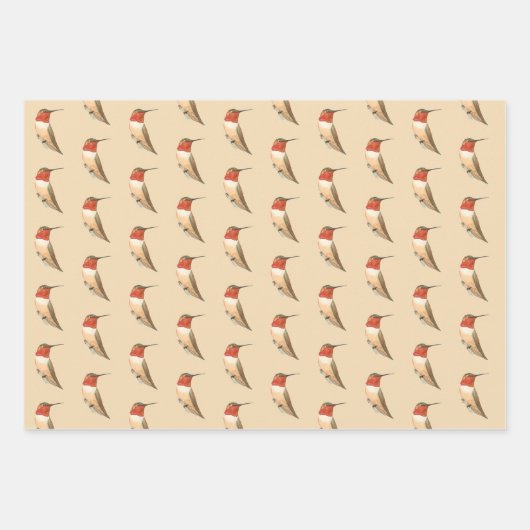 Rufous Hummingbirds Pattern Inpakpapier Vel (Voorkant 3)