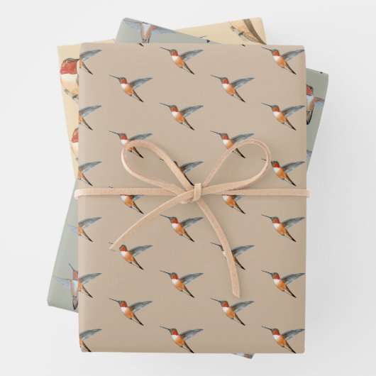 Rufous Hummingbirds Pattern Inpakpapier Vel (In situ)