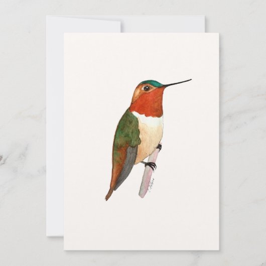 Rufous kolibrie plat Wenskaart Kaart (Voorkant)