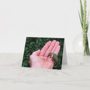 Rufous/Kolibrie van Allen • Joe Sweeney - kaart