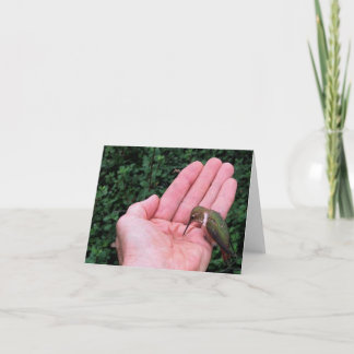 Rufous/Kolibrie van Allen • Joe Sweeney - kaart