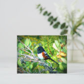 Rufous Side Towhee Sparrow Briefkaart (Staand voorkant)