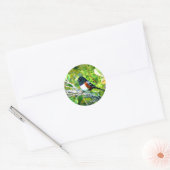 Rufous Side Towhee Sparrow Ronde Sticker (Envelop)