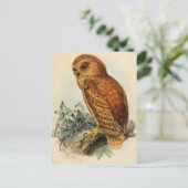 Rufous Vist Owl Illustratie Briefkaart (Staand voorkant)