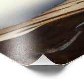 Rufus - Een schattige rode panda Foto Afdruk (Hoek)