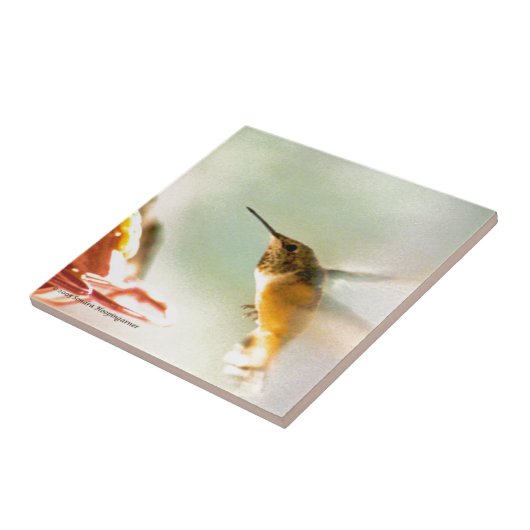 Rufus Hummingbird Tegeltje (Zijkant)