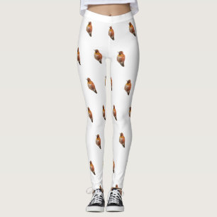 Rufus kolibrie (Selasphorus rufus) Leggings