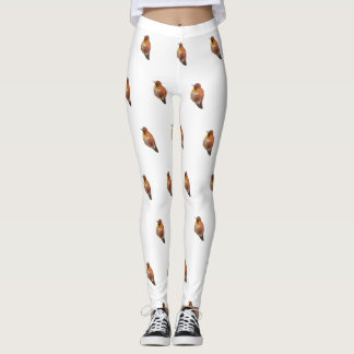 Rufus kolibrie (Selasphorus rufus) Leggings