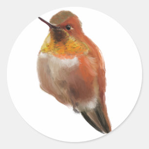 Rufus kolibrie (Selasphorus rufus) Ronde Sticker