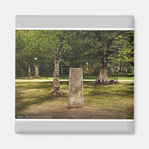 Rufus Stone, New Forest, Winchester, Engeland Magneet
