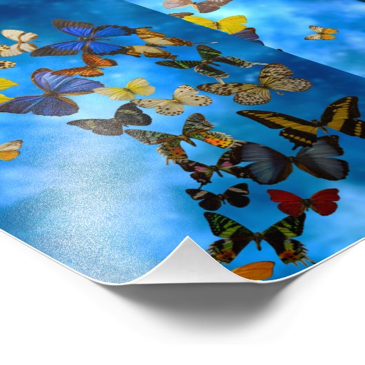 Rug Foto Afdruk (Hoek)