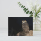 Rug Great Horned Owl Briefkaart (Staand voorkant)