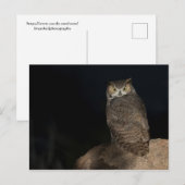 Rug Great Horned Owl Briefkaart (Voorkant / Achterkant)