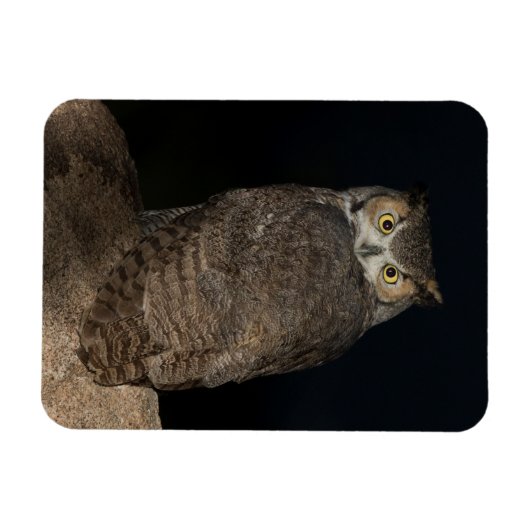 Rug Great Horned Owl Magneet (Horizontaal)