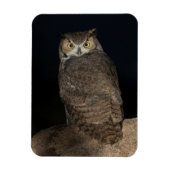 Rug Great Horned Owl Magneet (Verticaal)