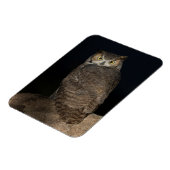 Rug Great Horned Owl Magneet (Linkerzijde)