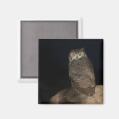 Rug Great Horned Owl Magneet (Voorkant / Achterkant)