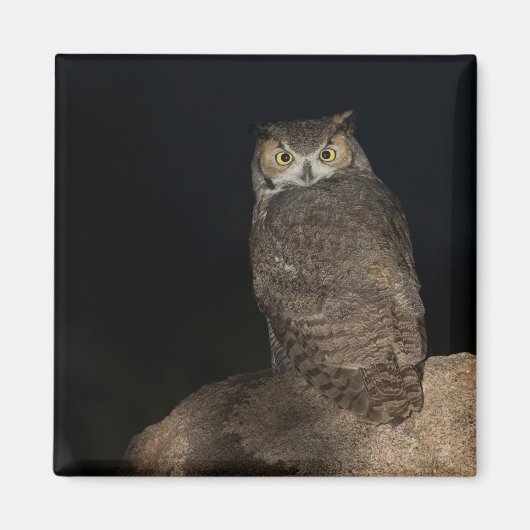 Rug Great Horned Owl Magneet (Voorkant)