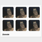 Rug Great Horned Owl Vierkante Sticker (Vel)