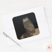 Rug Great Horned Owl Vierkante Sticker (Envelop)
