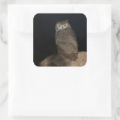 Rug Great Horned Owl Vierkante Sticker (Tas)