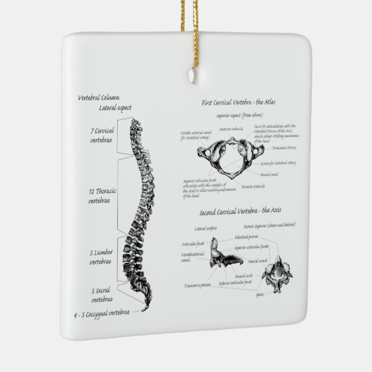 Rug Keramisch Ornament (Rechts)