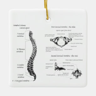 Rug Keramisch Ornament