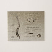 Rug Legpuzzel (Horizontaal)