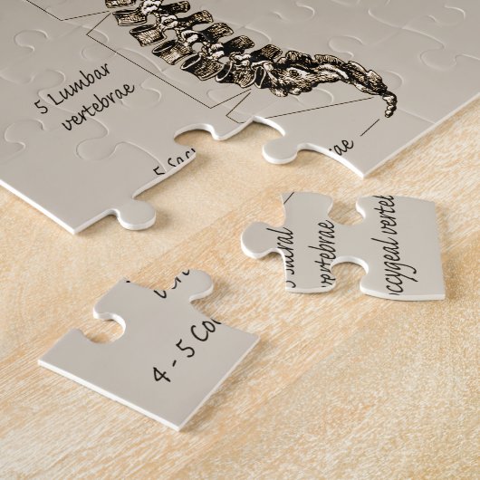 Rug Legpuzzel (Zijkant)