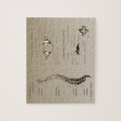 Rug Legpuzzel (Verticaal)