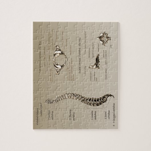 Rug Legpuzzel (Verticaal)