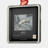 Rug Metalen Ornament (Links)